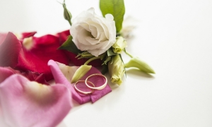 Jak podać obrączki na ślubie? Najpiękniejsze pudełka na obrączki