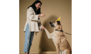 Trening z psem - najlepsze metody nauki nowych zachowań.