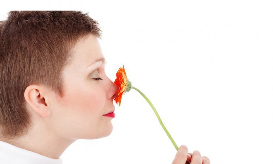 Jak leczyć krwotoki z nosa?